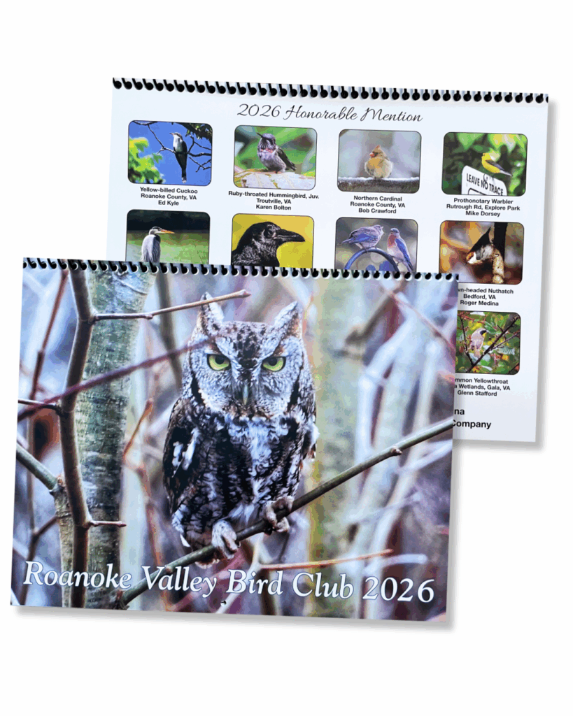 2026 Calendar Cover RVBC